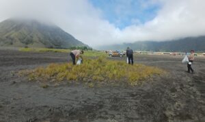 IMG-20260216-WA0021