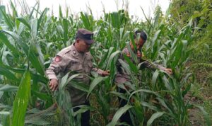 103007(1)