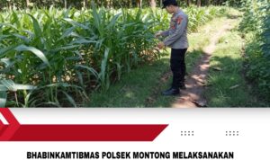 IMG-20260610-WA0002