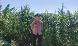 IMG-20260611-WA0015(1)