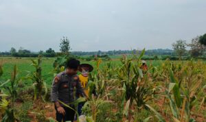 IMG-20260726-WA0003
