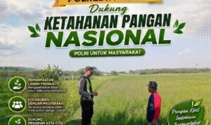 IMG-20260729-WA0018