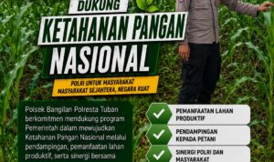 IMG-20260801-WA0032