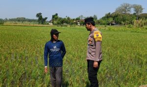 IMG-20260802-WA0010