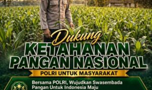 WhatsApp Image 2026-08-30 at 08.34.13