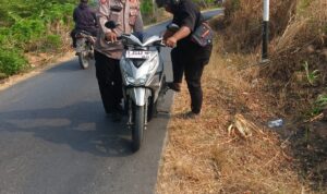 1000763304
