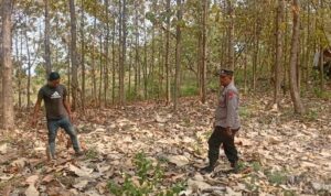 WhatsApp Image 2026-06-21 at 11.16.35 (1)