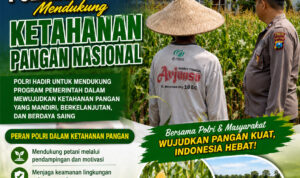image0 (4)