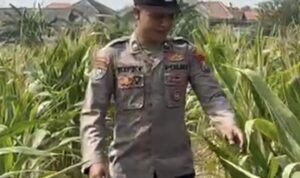 1000974606