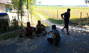 IMG_20261018_084340_268 (1)