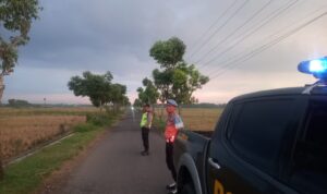 WhatsApp Image 2026-03-19 at 17.51.40